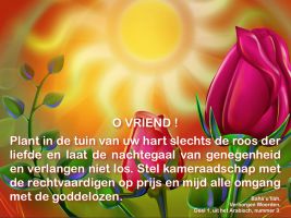 studio1world bahai inspired art - De roos der liefde.